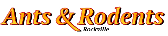 Rockville Ant Exterminator & Rodent Control Company Logo